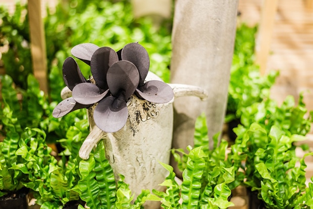 c02-designjournal151207.jpg