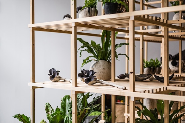 c03-designjournal151207.jpg