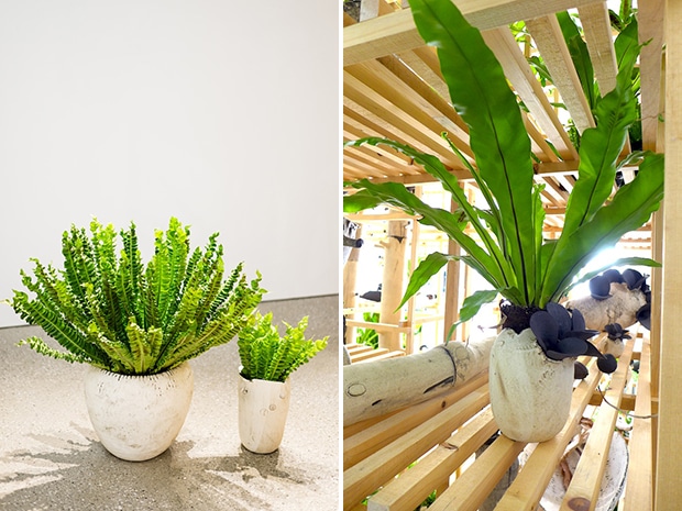 c05-designjournal151207.jpg