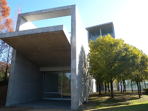 160301-sekine01-w500px.jpg