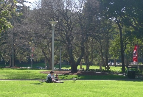 f16 0809kawakami.jpg