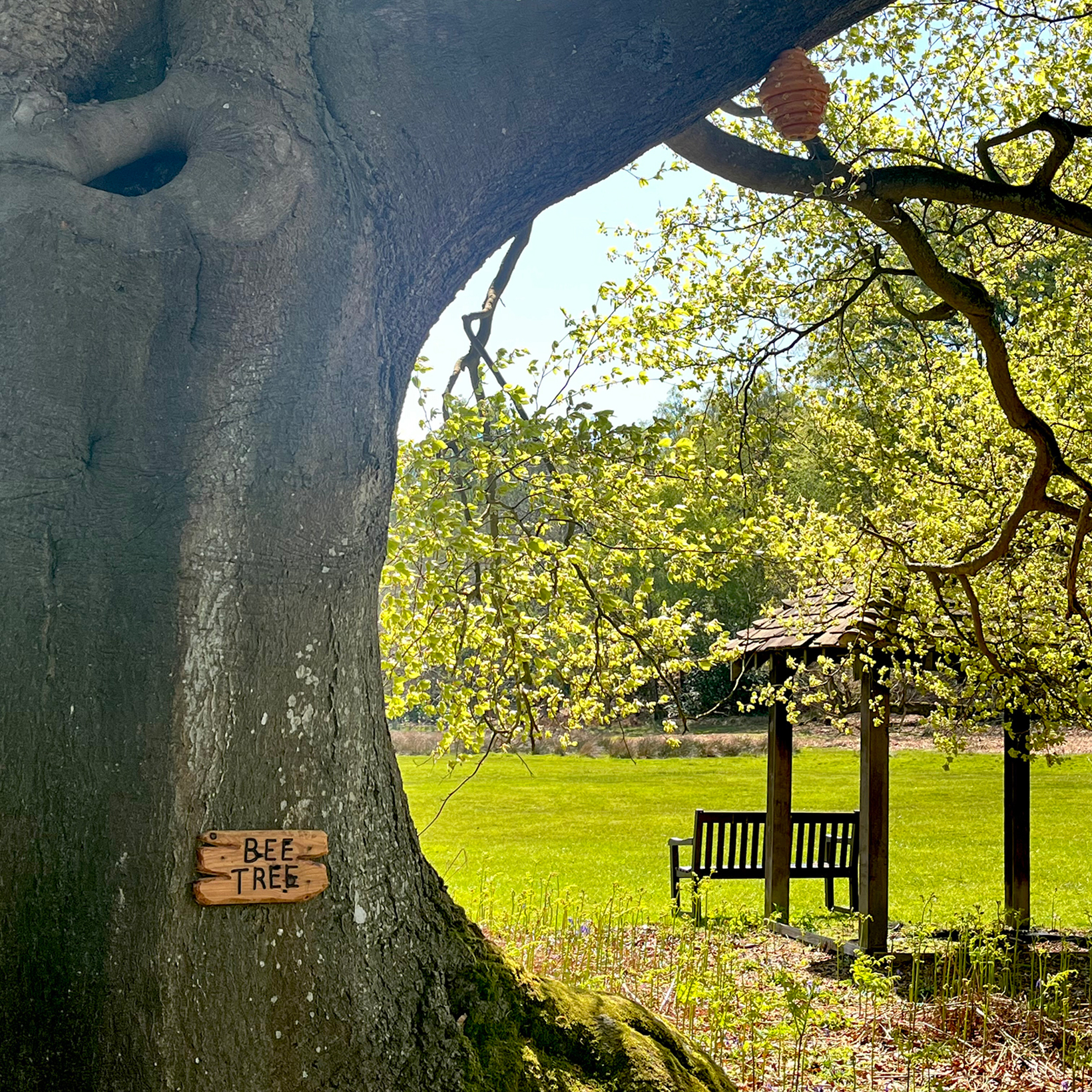 『くまのプーさん』出版100周年！ ロンドンを飛び出し、物語の舞台「100エーカーの森」を巡る旅へ。