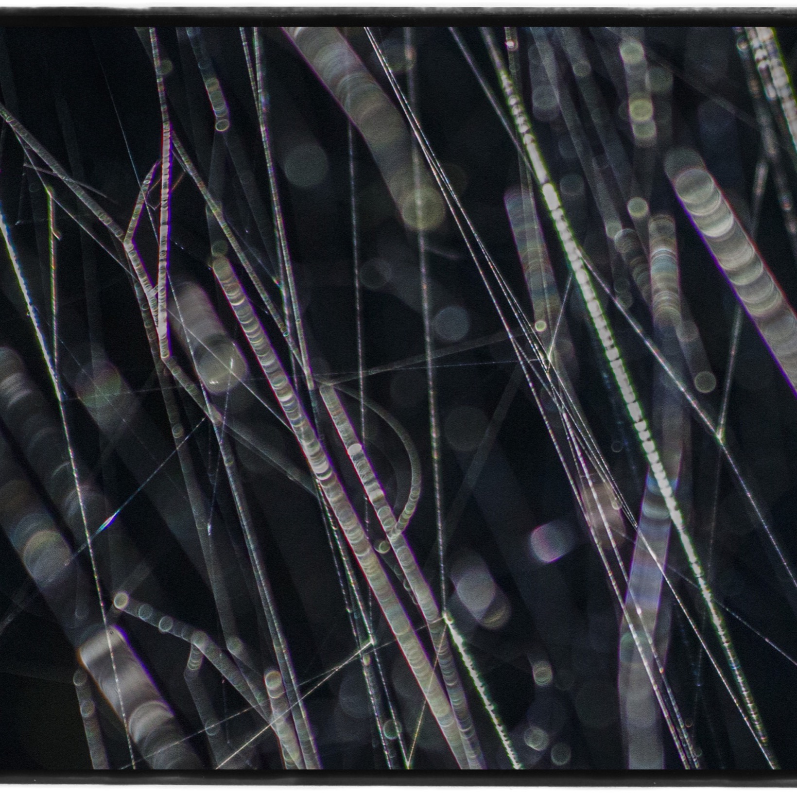 見えないはずの「粘性」を写真にする。高木由利子『chaoscosmos』第3章がGYRE GALLERYで開催。