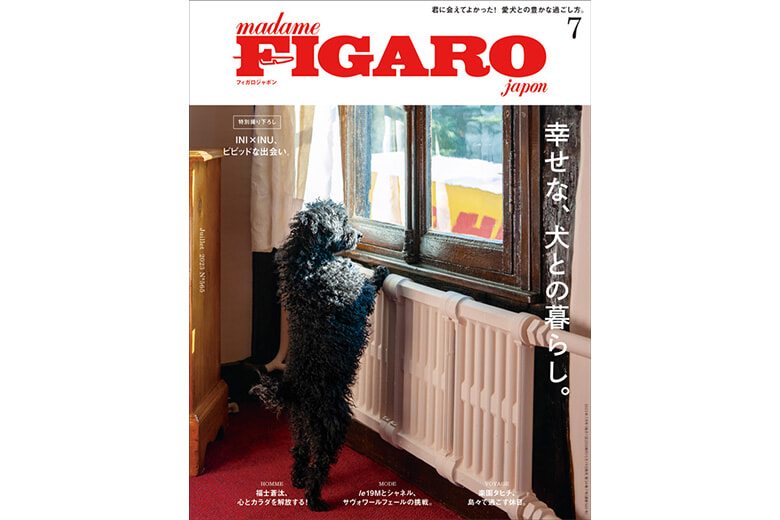 幸せな、犬との暮らし。 | Magazine｜madame FIGARO.jp（フィガロジャポン）