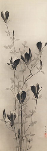 1204mokuren.jpg