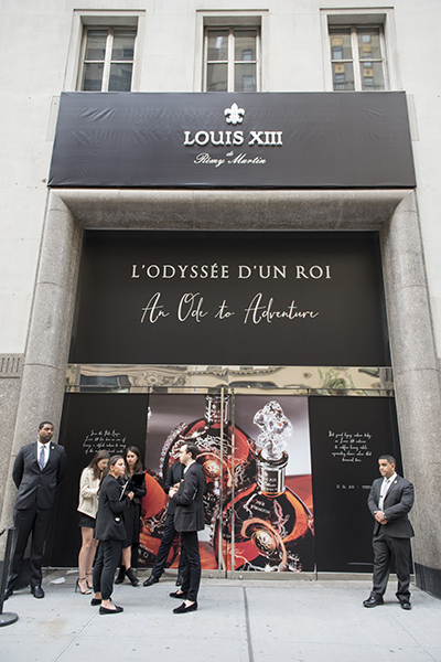 160613_TUlouisXIII_01new.jpg