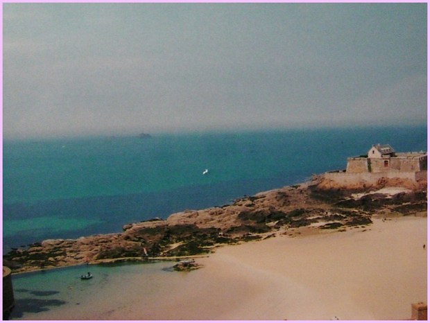 2011.jpg
