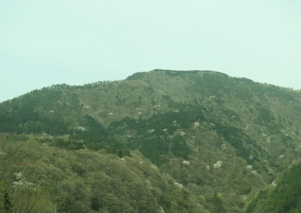 140422 (12).JPG