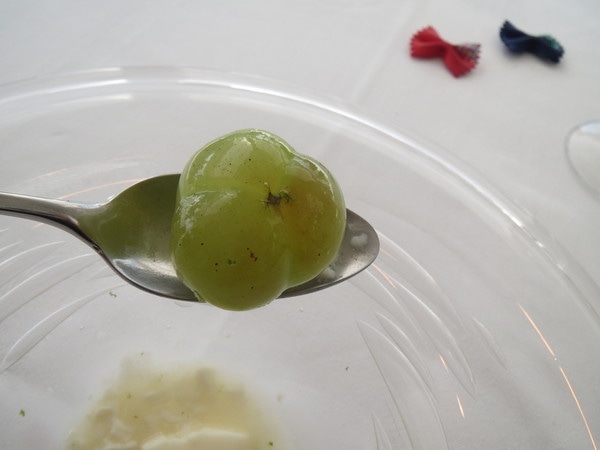 IMG_5466.JPG