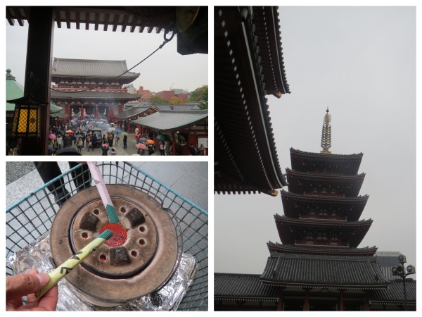 IMG_5510_Fotor_Collage.jpg
