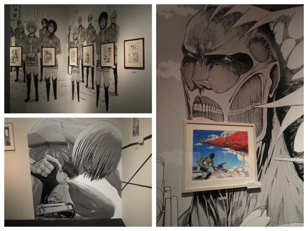 IMG_5848_Fotor_Collage.jpg