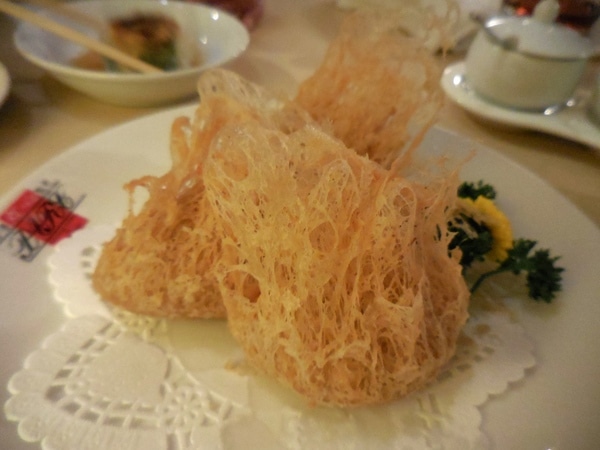DSCN0206.JPG