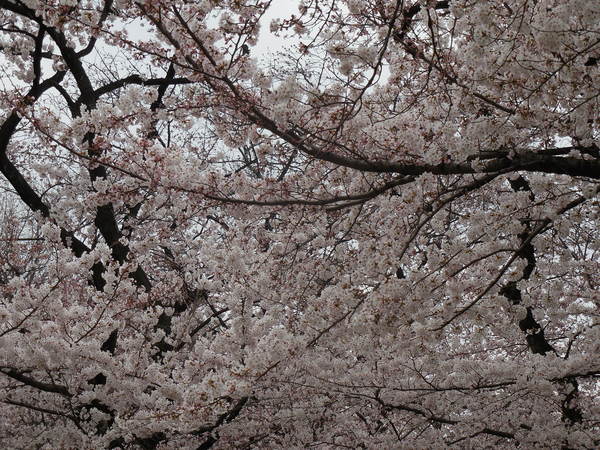 DSCN0516.JPG