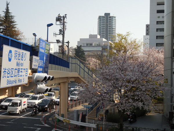 DSCN0552.JPG