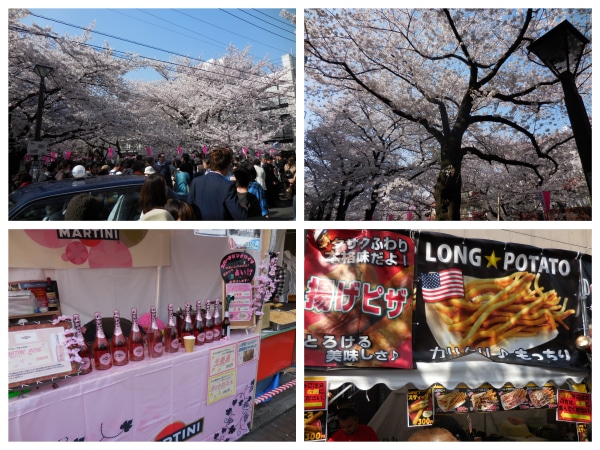 DSCN0542_Fotor_Collage.jpg