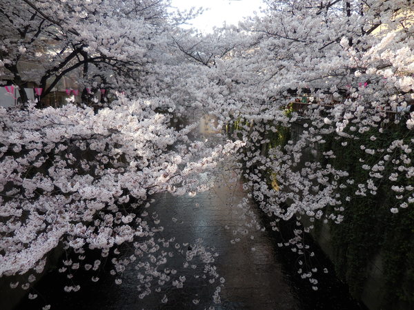 DSCN0546.JPG