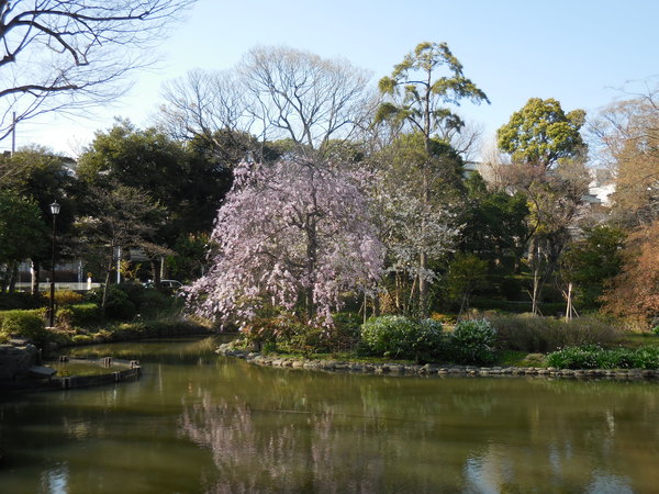 DSCN0577.JPG