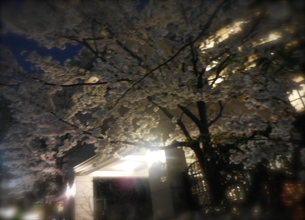 DSCN0612.JPG