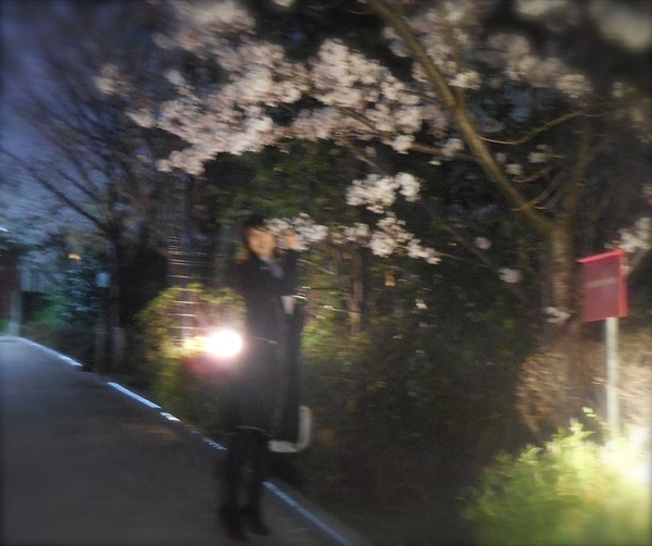 DSCN0617.JPG