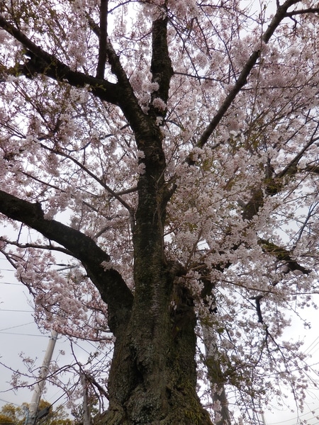 DSCN0622.JPG