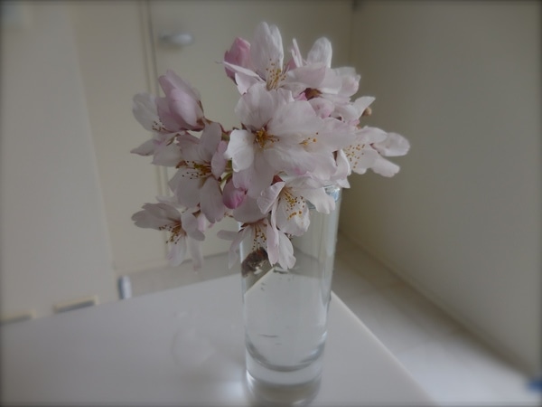 DSCN0623.JPG