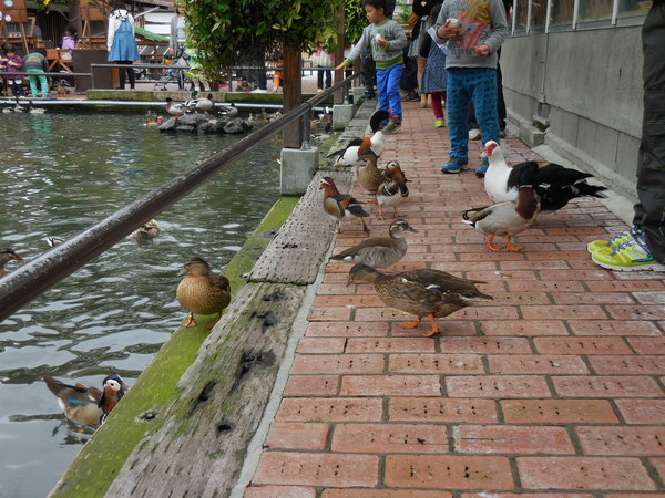 DSCN0773.JPG