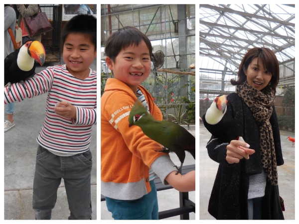 DSCN0789_Fotor_Collage.jpg