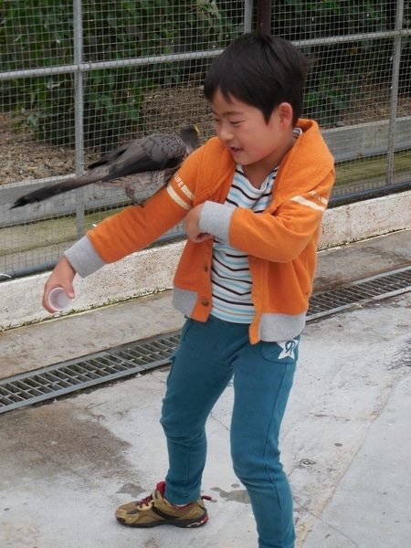 DSCN0819.JPG