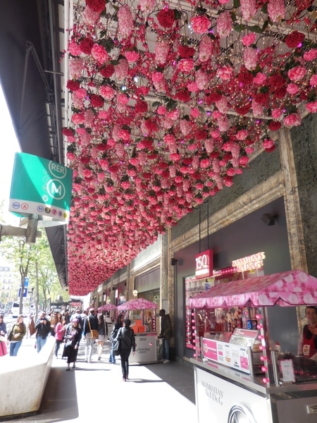 DSCN1035.JPG