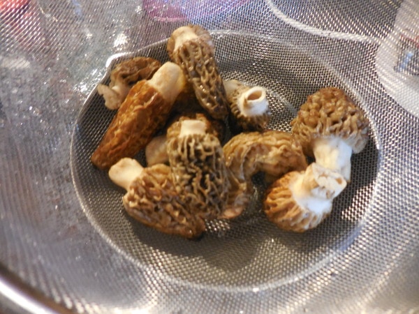 DSCN1250.JPG