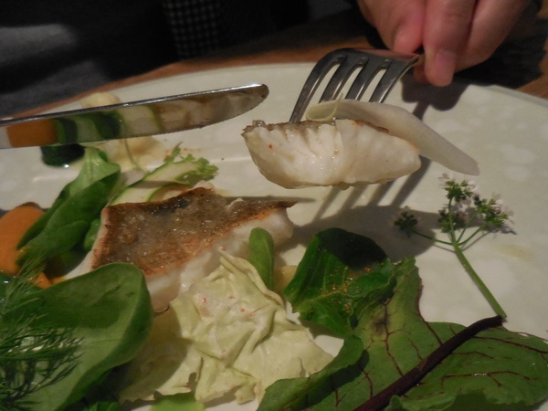 DSCN1476.JPG