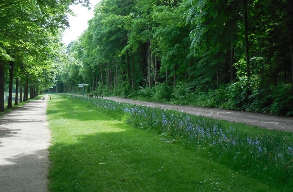 DSCN1777.JPG