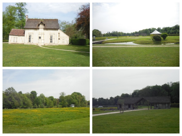 DSCN1786_Fotor_Collage.jpg