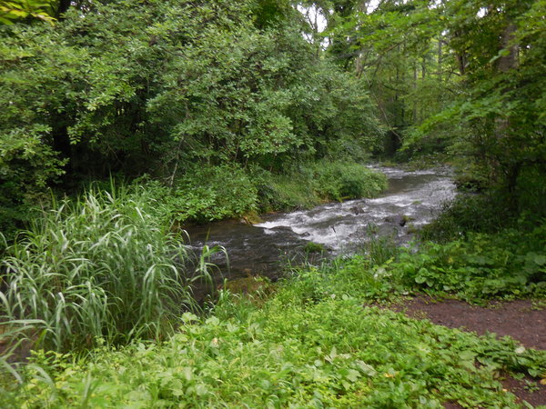 DSCN3293.JPG
