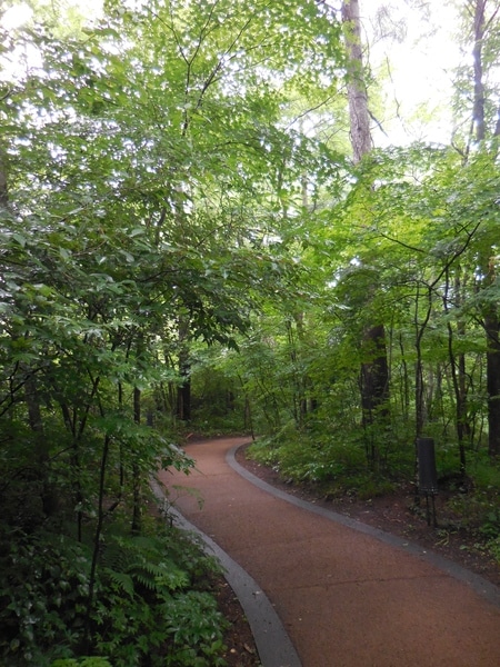 DSCN3294.JPG