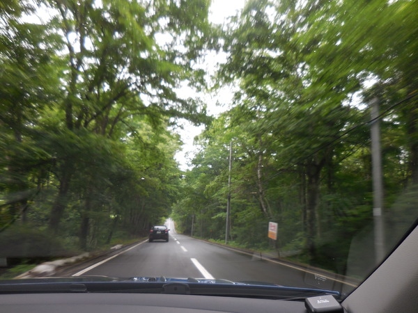 DSCN3305.JPG