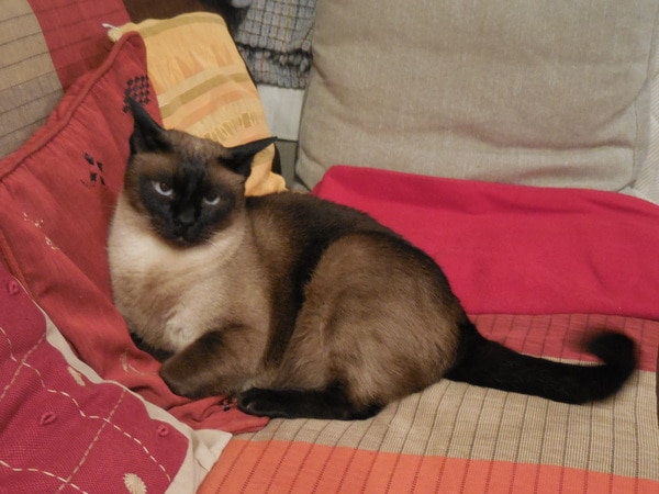 DSCN3332.JPG