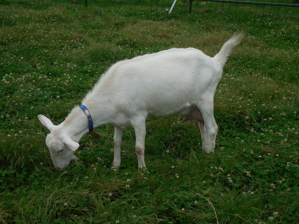 DSCN3388.JPG