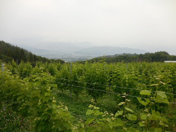 DSCN3389.JPG