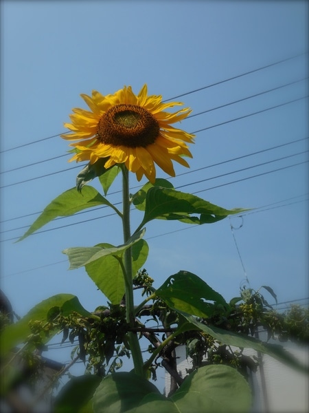 DSCN3559.JPG