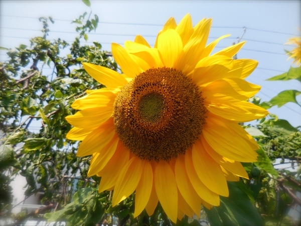 DSCN3560.JPG