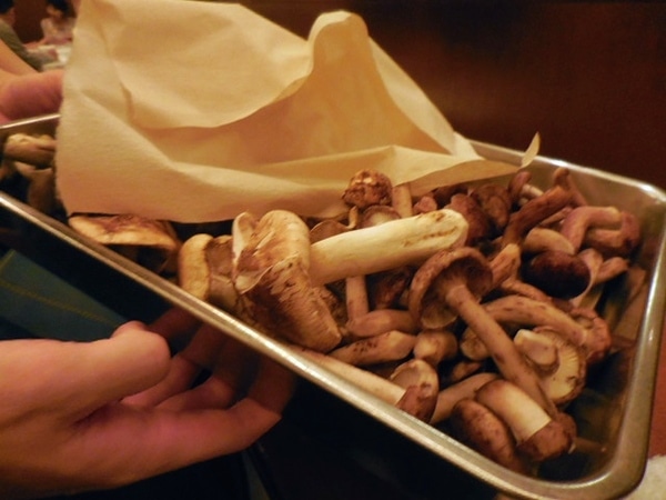 DSCN4583.JPG