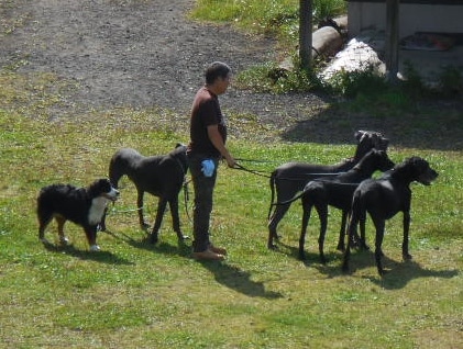 DSCN4927.JPG