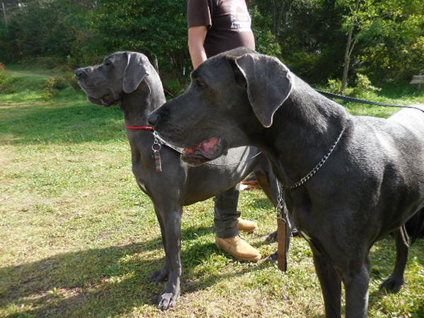 DSCN4929.JPG