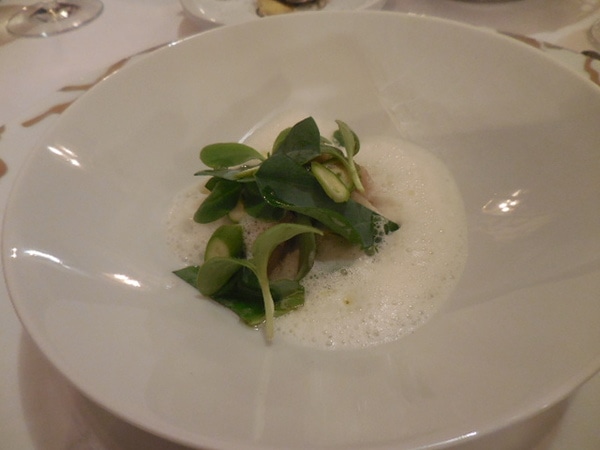 DSCN6151.JPG