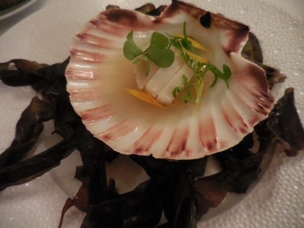 DSCN6980.JPG