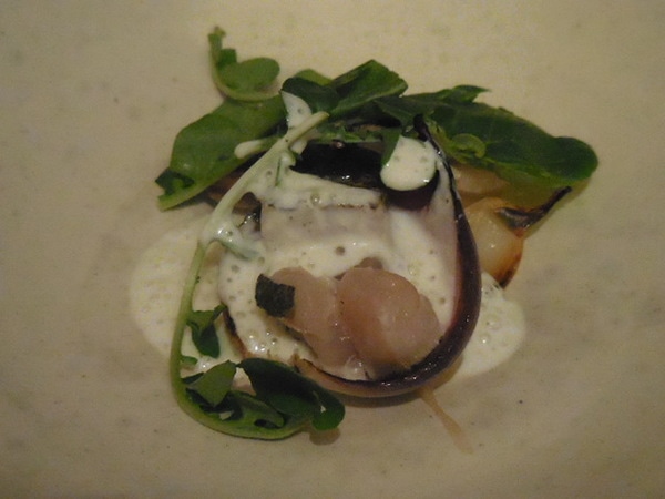 DSCN6218.JPG