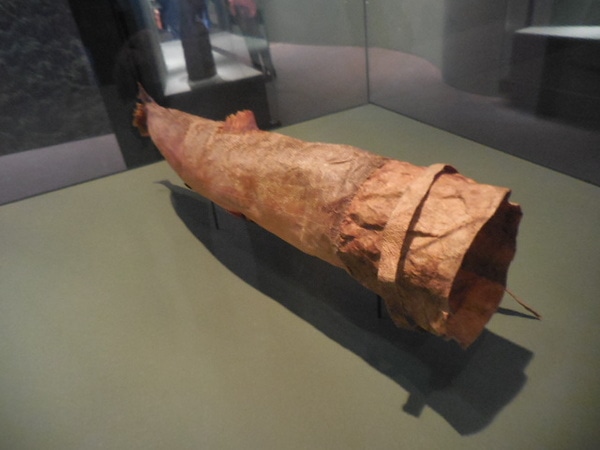 DSCN7027.JPG