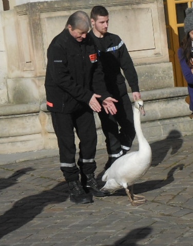 DSCN9555.JPG