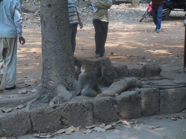 DSCN0063.JPG